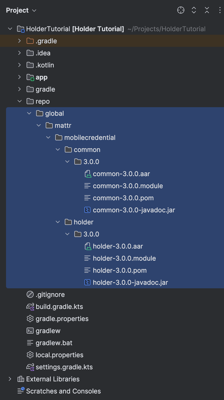 Unzipped files copied